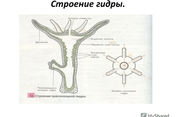 Через какой браузер зайти на кракен