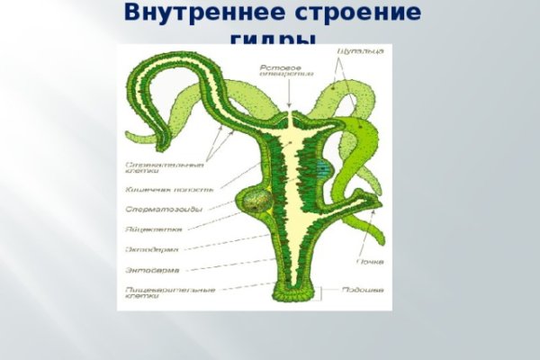 Kraken market ссылка тор