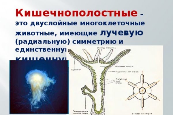 Кракен как зайти через тор браузер